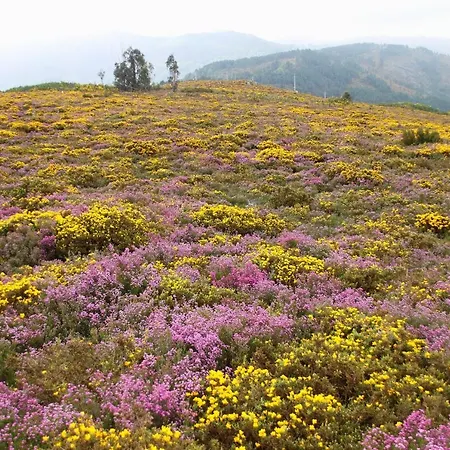 Casinha De Xisto - Serra Do Acor