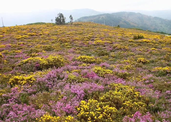 Casinha De Xisto - Serra Do Acor