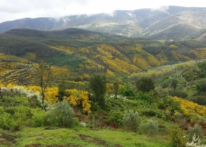 別荘 Casinha De Xisto - Serra Do Acor *
